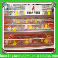 super quality broiler chick poultry farm equipment